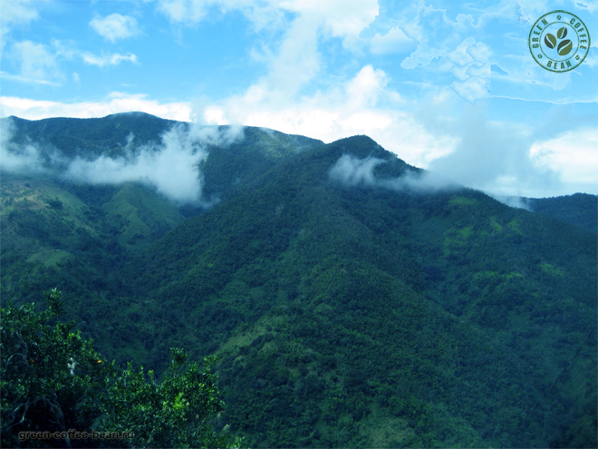    - Blue Montains of Jamaica